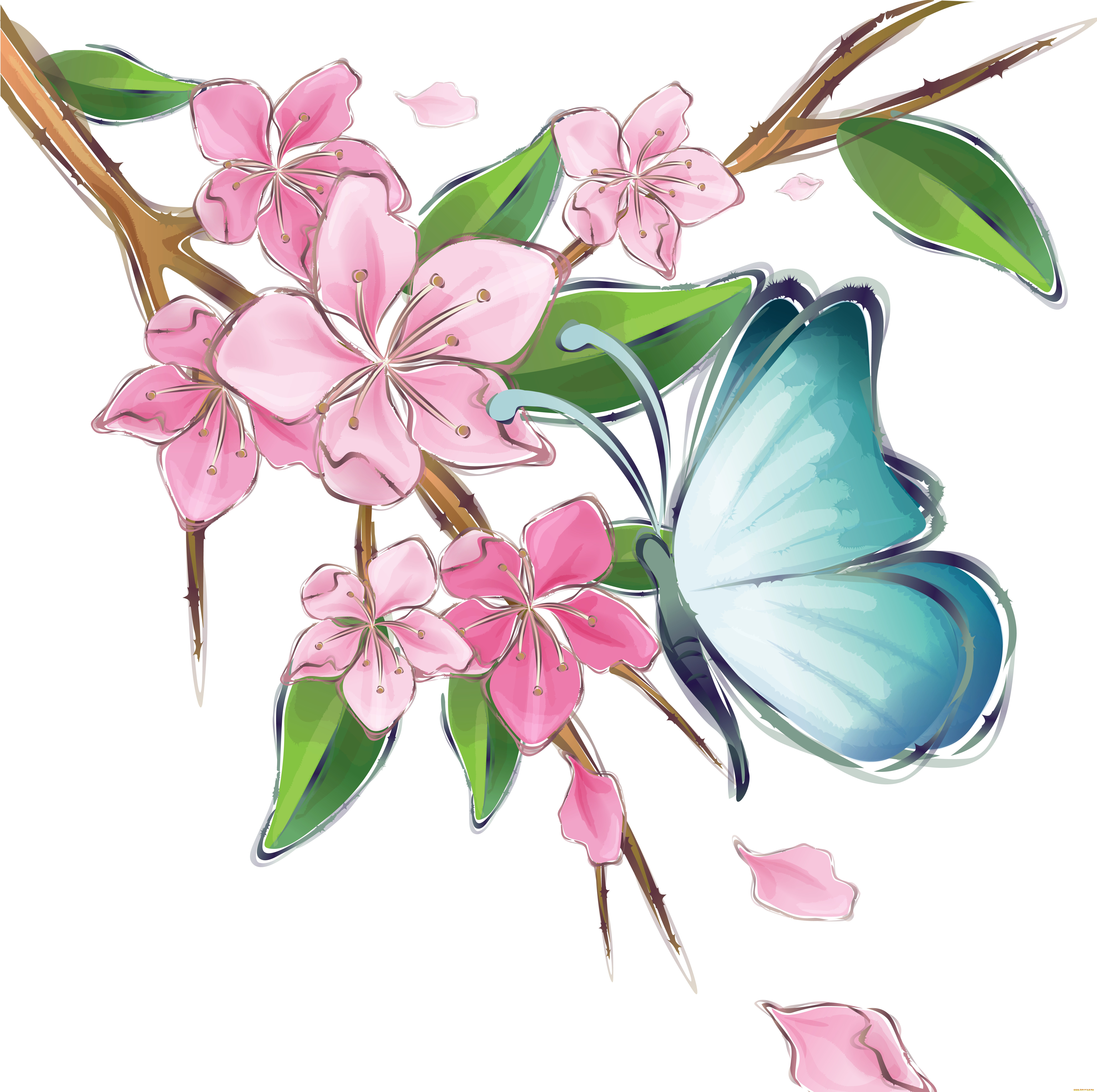 Клипарт на прозрачном фоне цветы бабочки